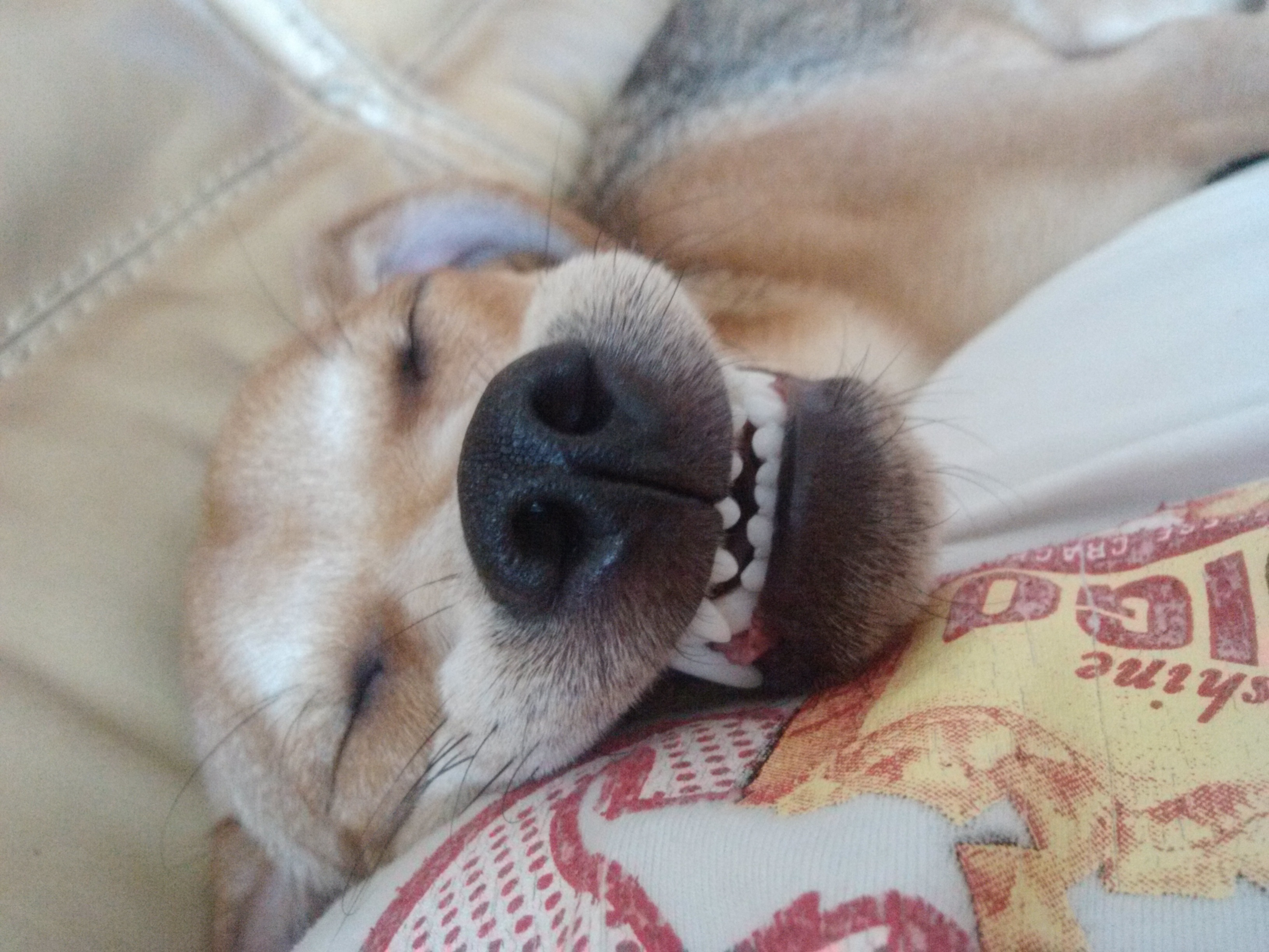 다온이소식 이요 ~!!