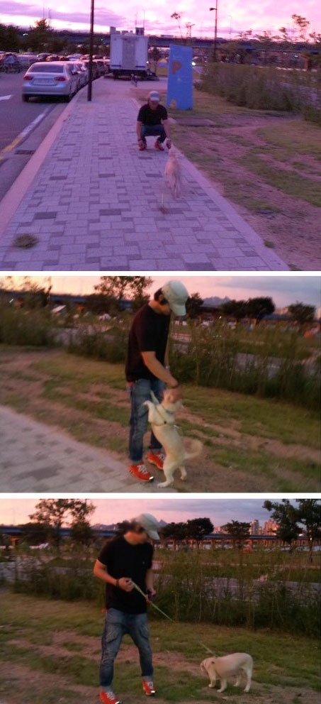 함나삶 산책정모 마루 소식이에요^^