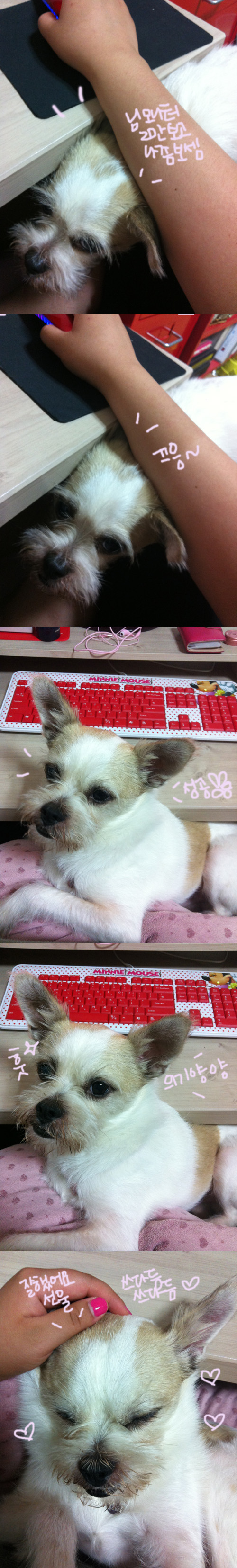 오랜만에 하랑이 소식