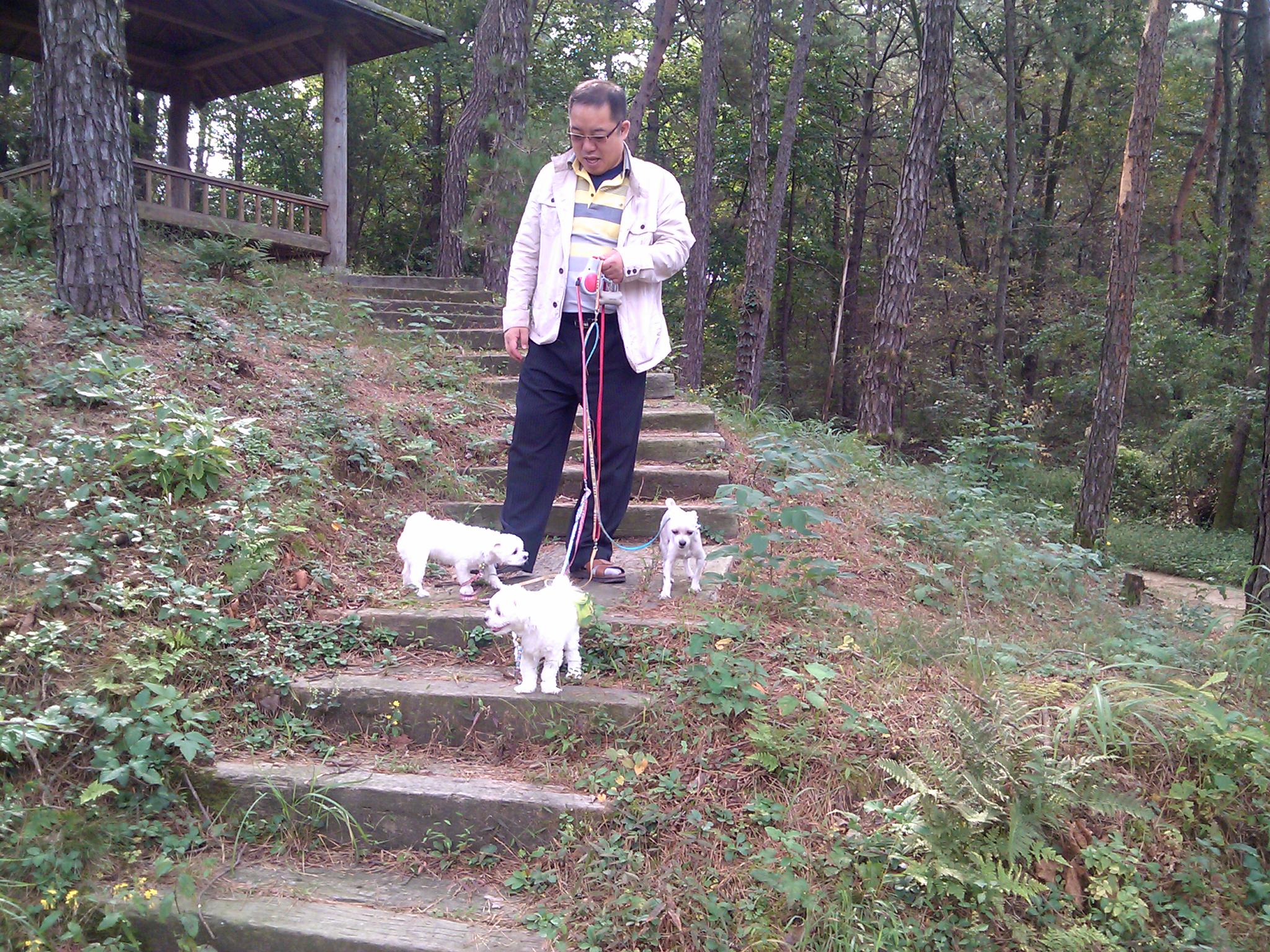 추석쇄러 다녀온 라봉