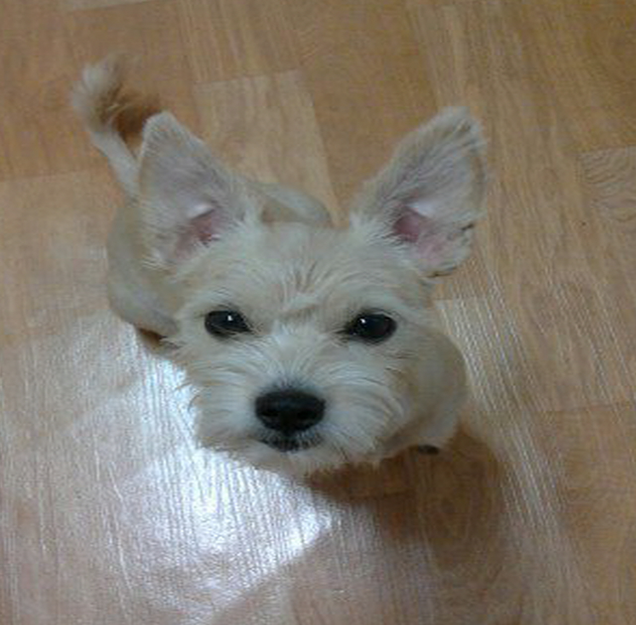 뽁뽀기 잘 지내요 ^^