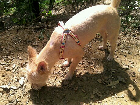 뽁뽀기 잘 지내요 ^^