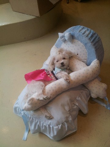 달희는 잘지내고 있어요