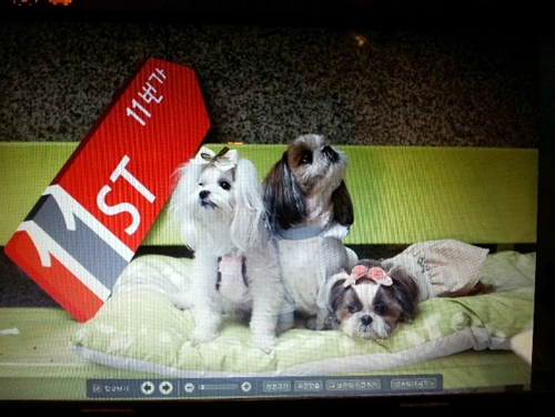 달희는 잘지내고 있어요