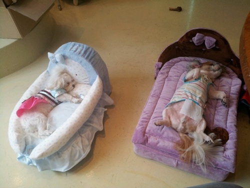 달희는 잘지내고 있어요