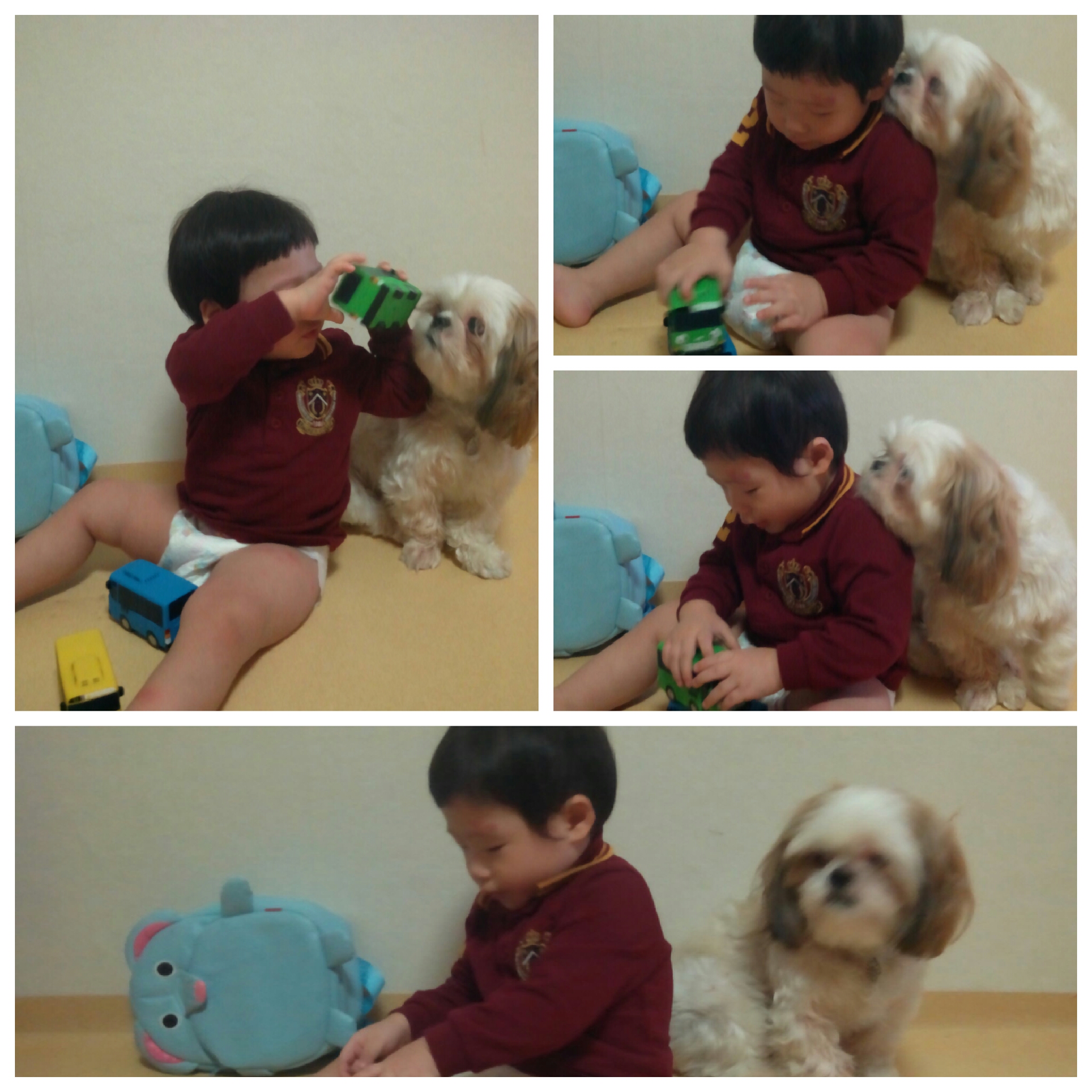 베이비시터 아톰~!