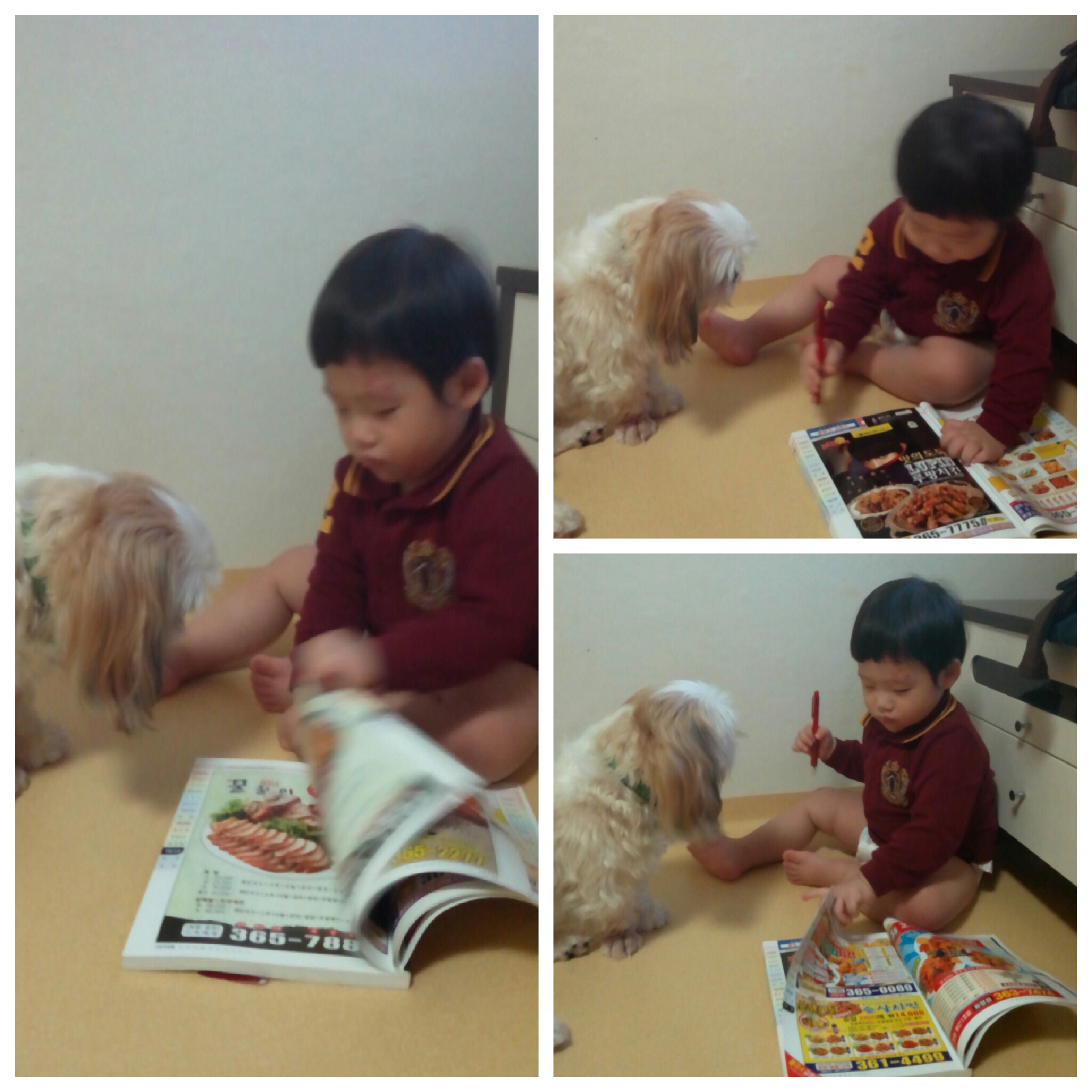 베이비시터 아톰~!