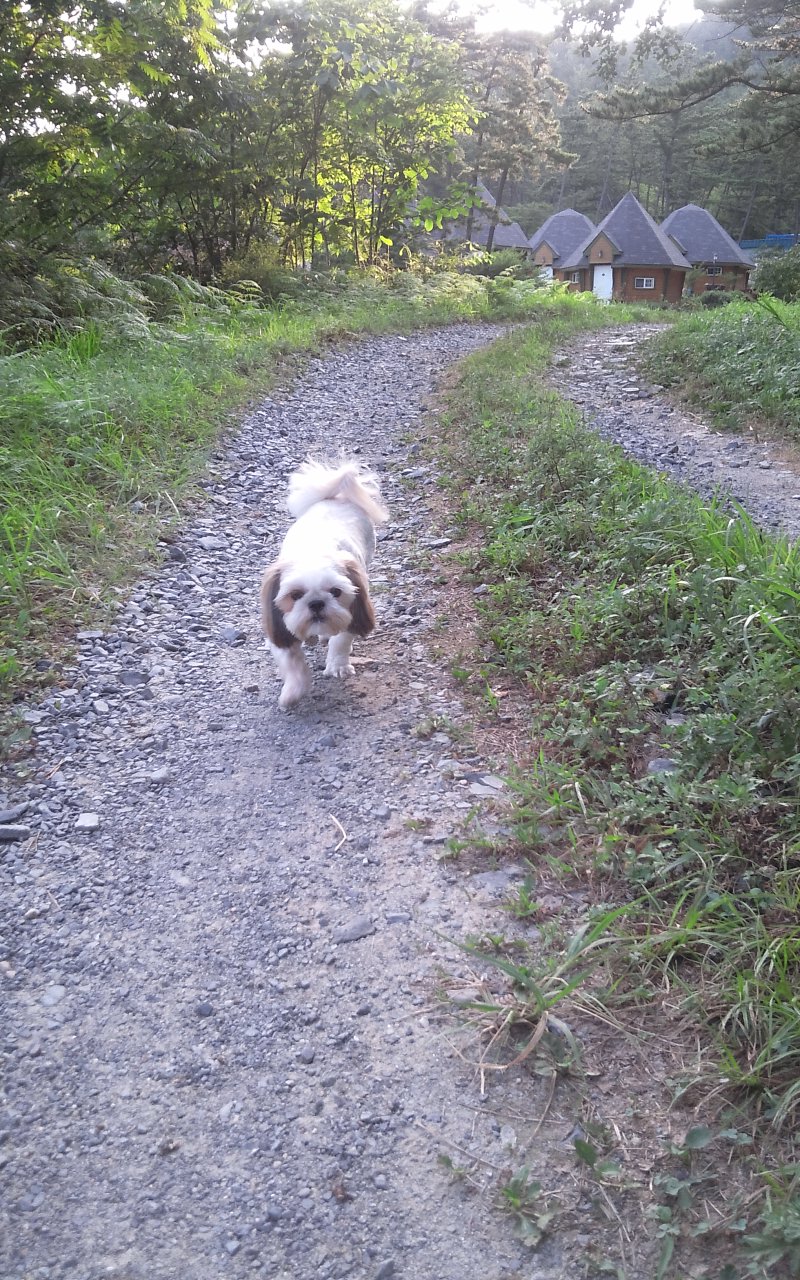 베이비시터 아톰~!