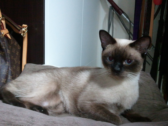 이젠 어른티가 살짝나는 녹두입니다