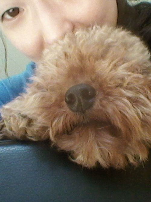 레오 잘 지내고 있어요!!!