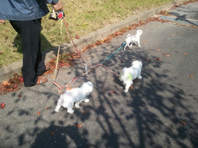 이천 접수완료 라봉