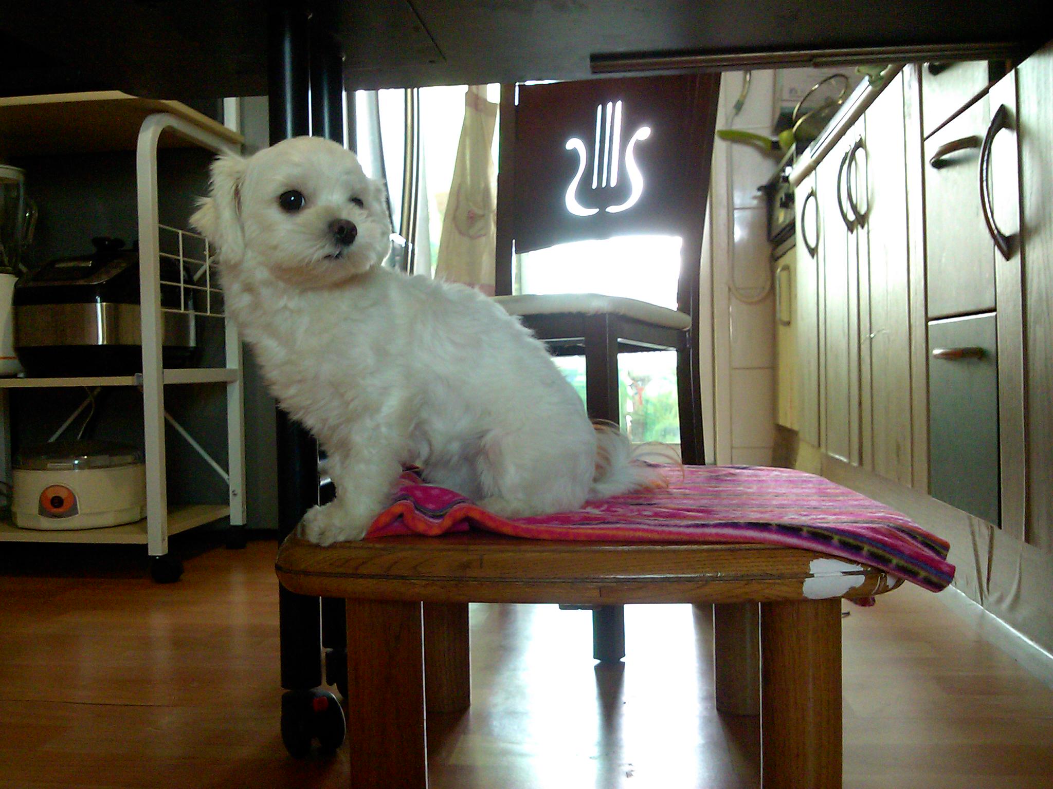 이천 접수완료 라봉