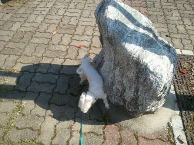 이천 접수완료 라봉