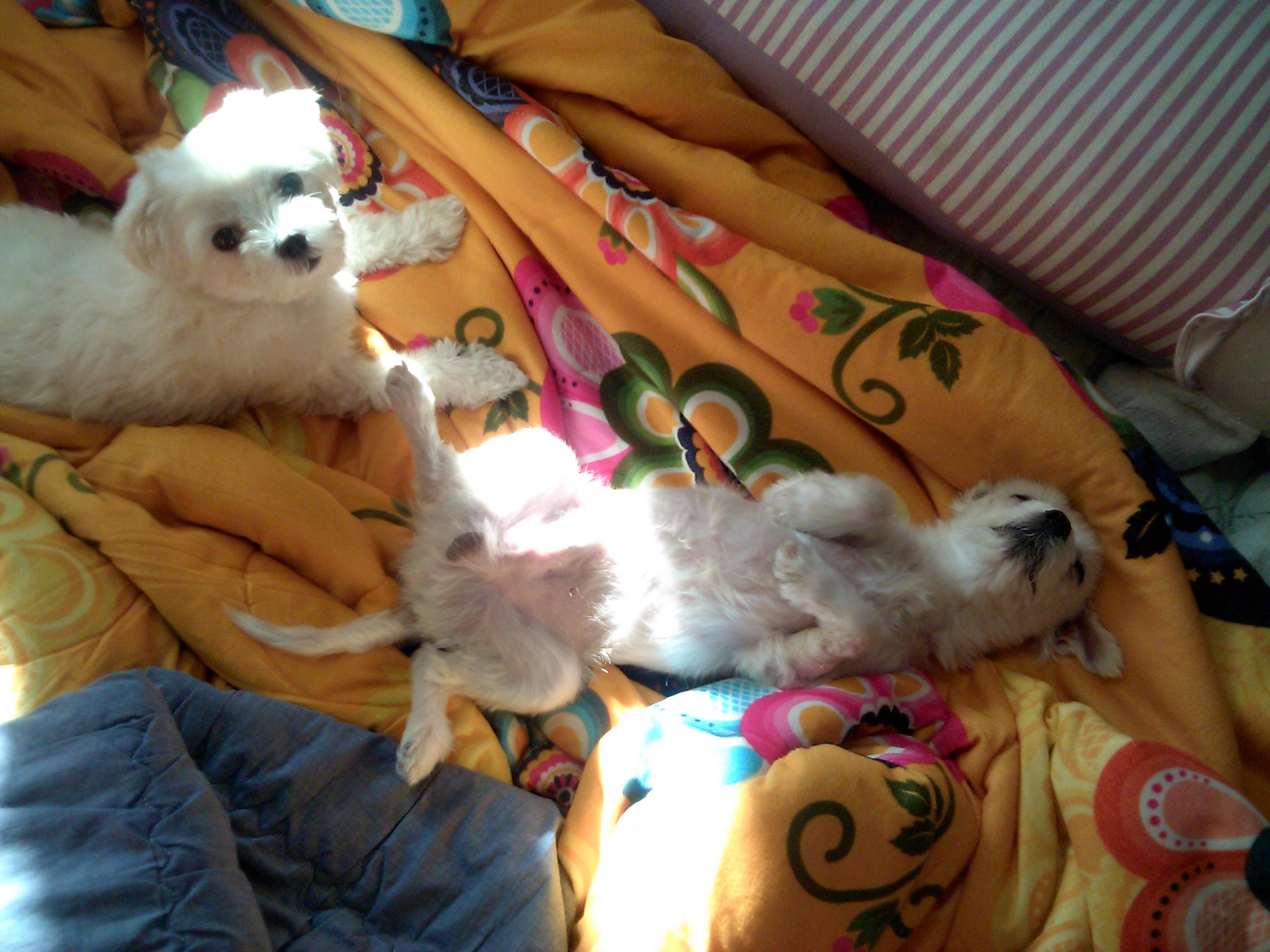 이천 접수완료 라봉