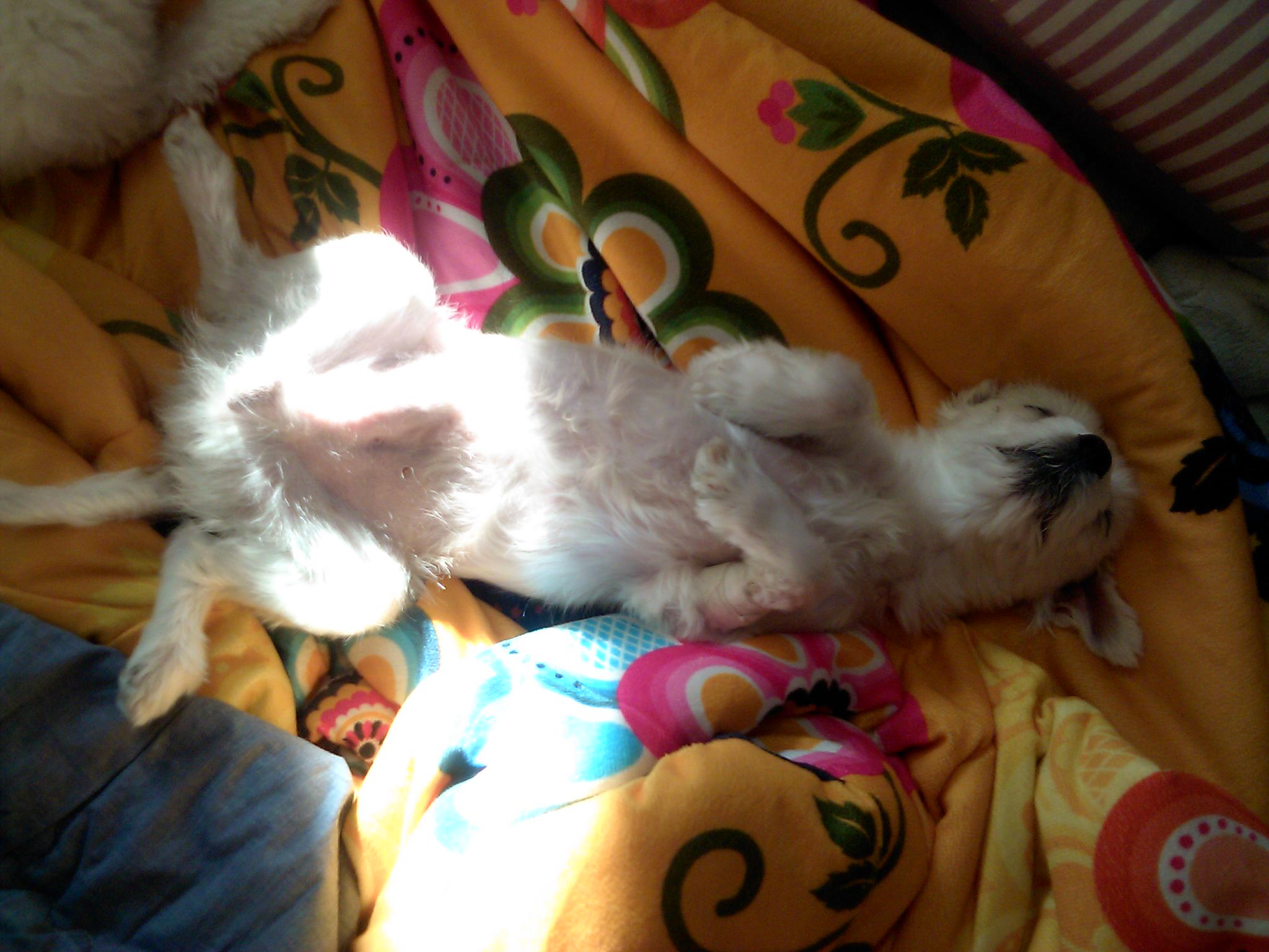 이천 접수완료 라봉