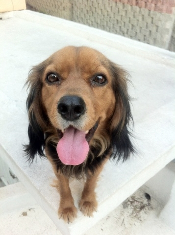 애정이는 아주 잘있어욤....^^