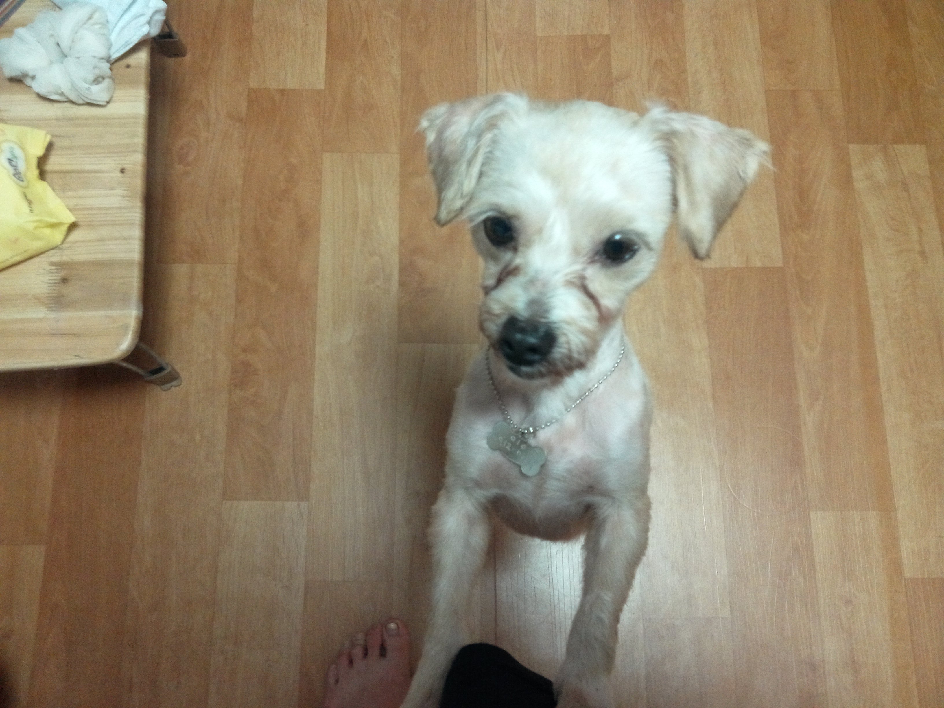 봉봉이 잘지내요~