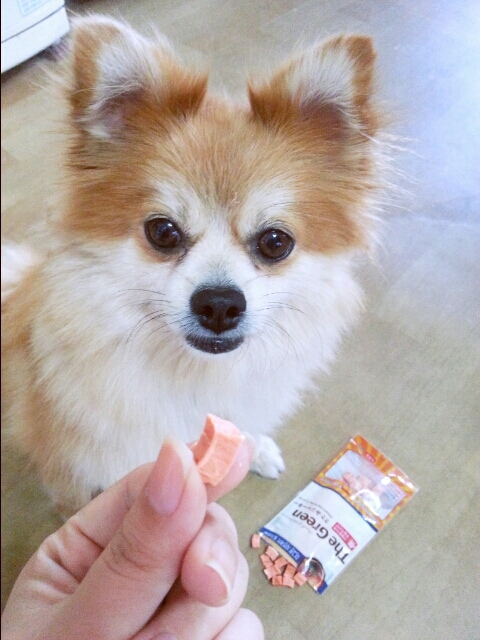 따끈따끈한 콘테스트 선물 인증샷!