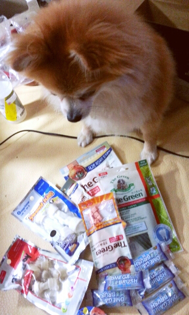 따끈따끈한 콘테스트 선물 인증샷!