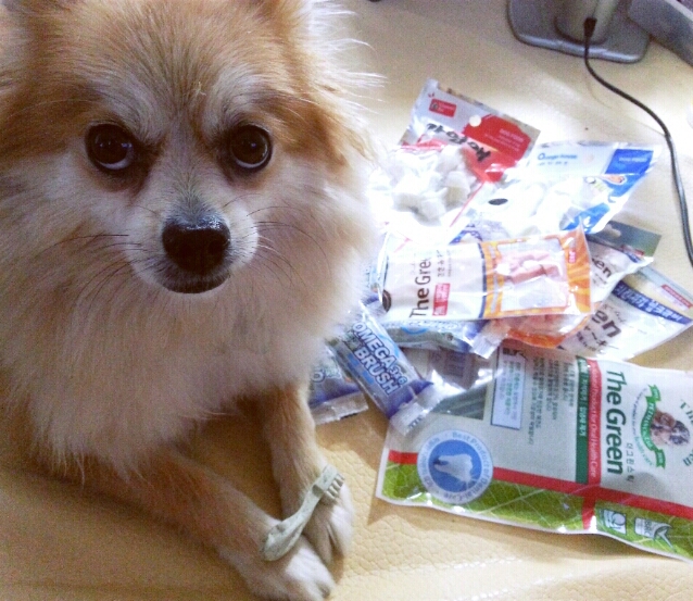 따끈따끈한 콘테스트 선물 인증샷!