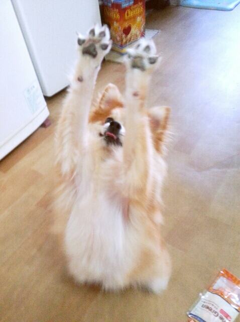 따끈따끈한 콘테스트 선물 인증샷!