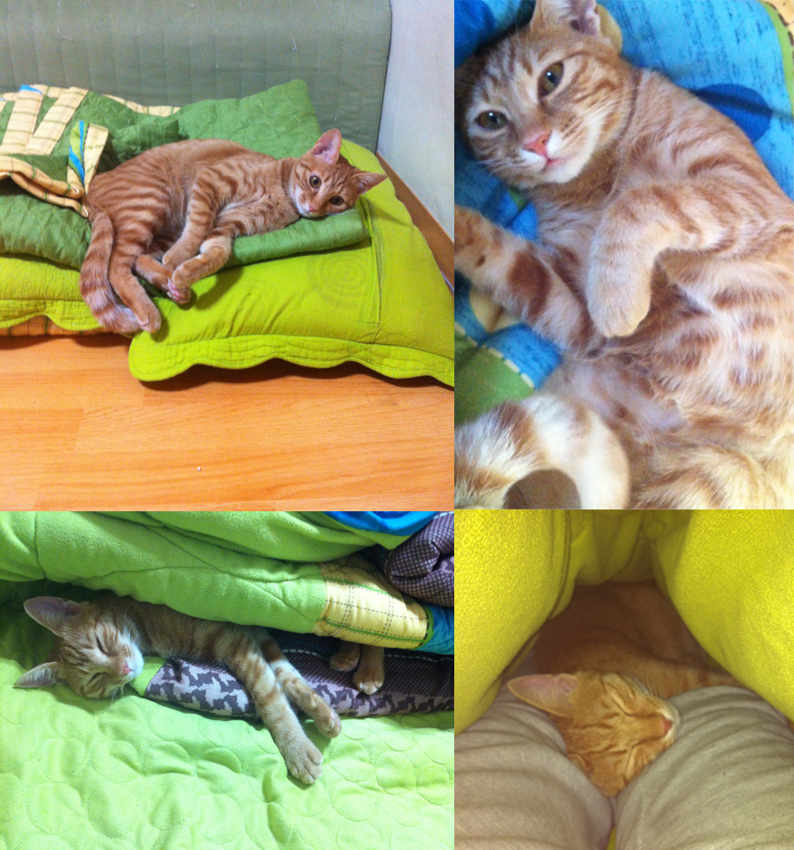 장화도 이제 어엿한 한 살