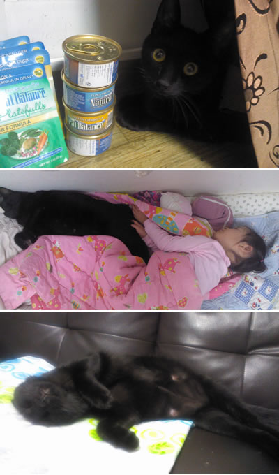 야후도 콘테스트 후기