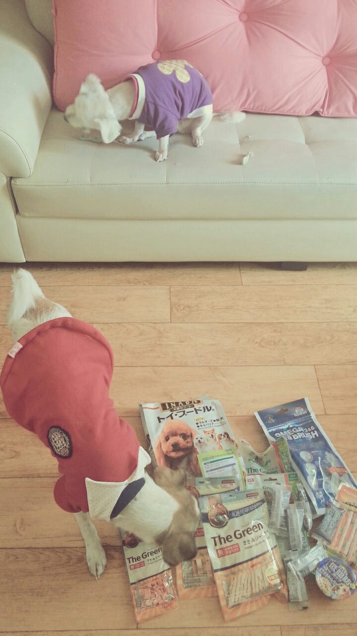 완전 기대이상입니다~앙