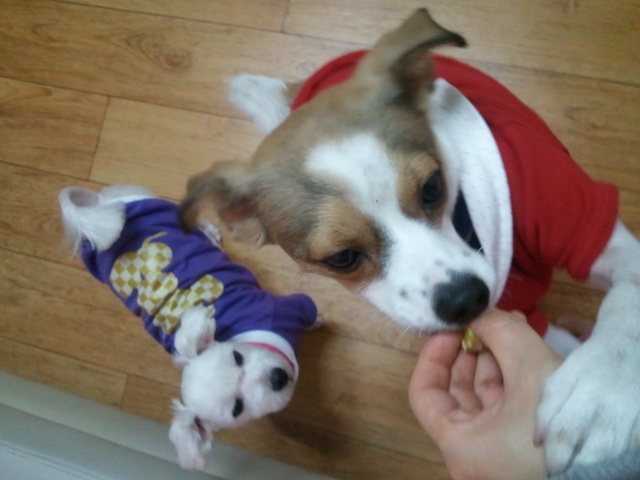 완전 기대이상입니다~앙