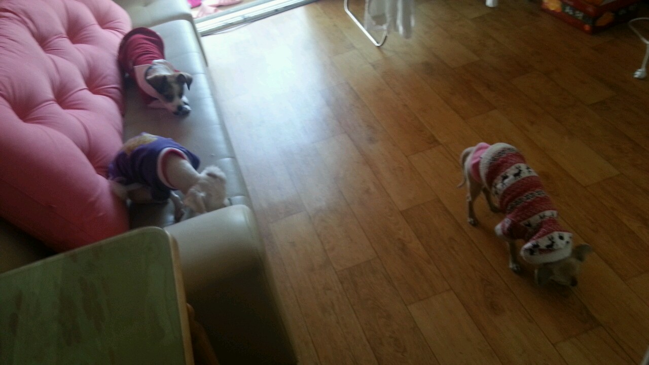 완전 기대이상입니다~앙