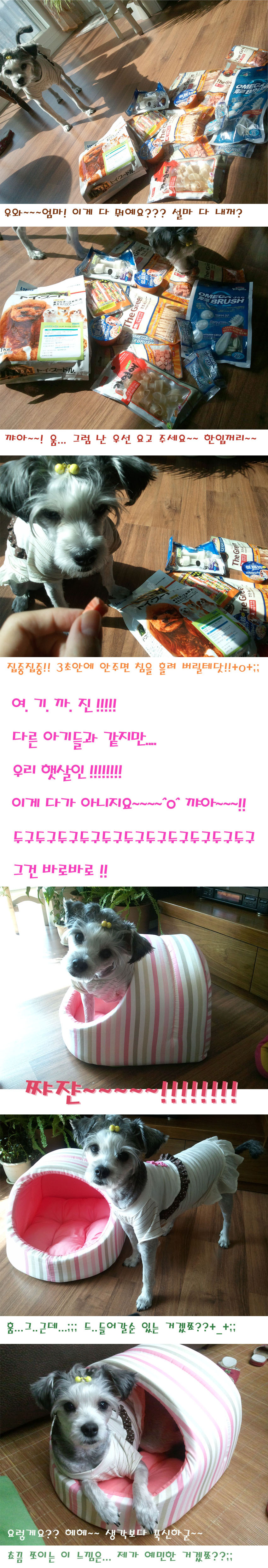 세상에!!! 선물이 진짜 쨩이네요~~!!! 1등 선물 구경하세요~~!!^^