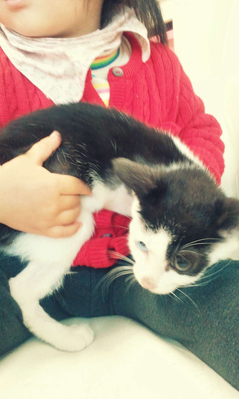 리홈 임보첫일기