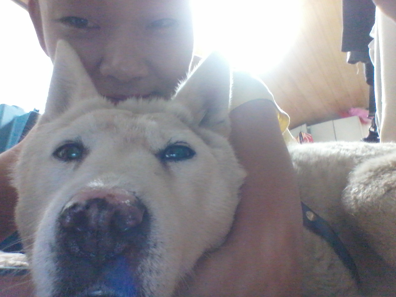 양양에서...쇠옷걸이구조견사랑이후기~