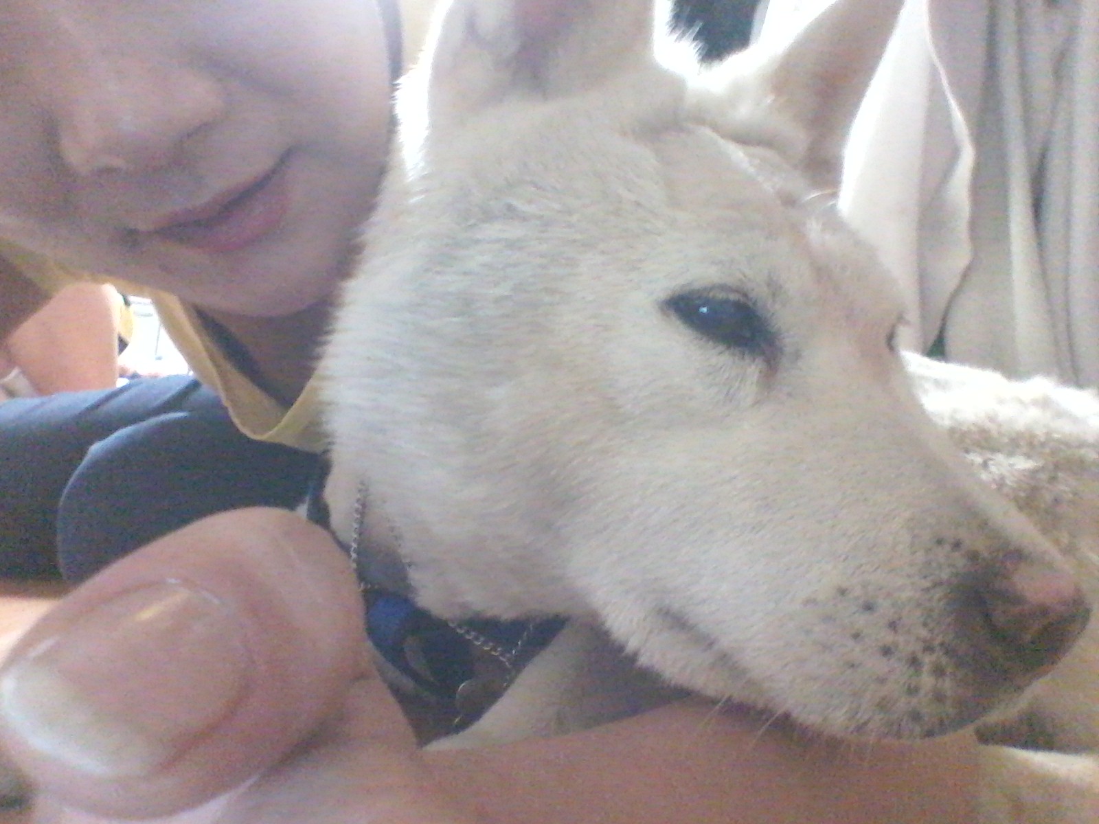 양양에서...쇠옷걸이구조견사랑이후기~