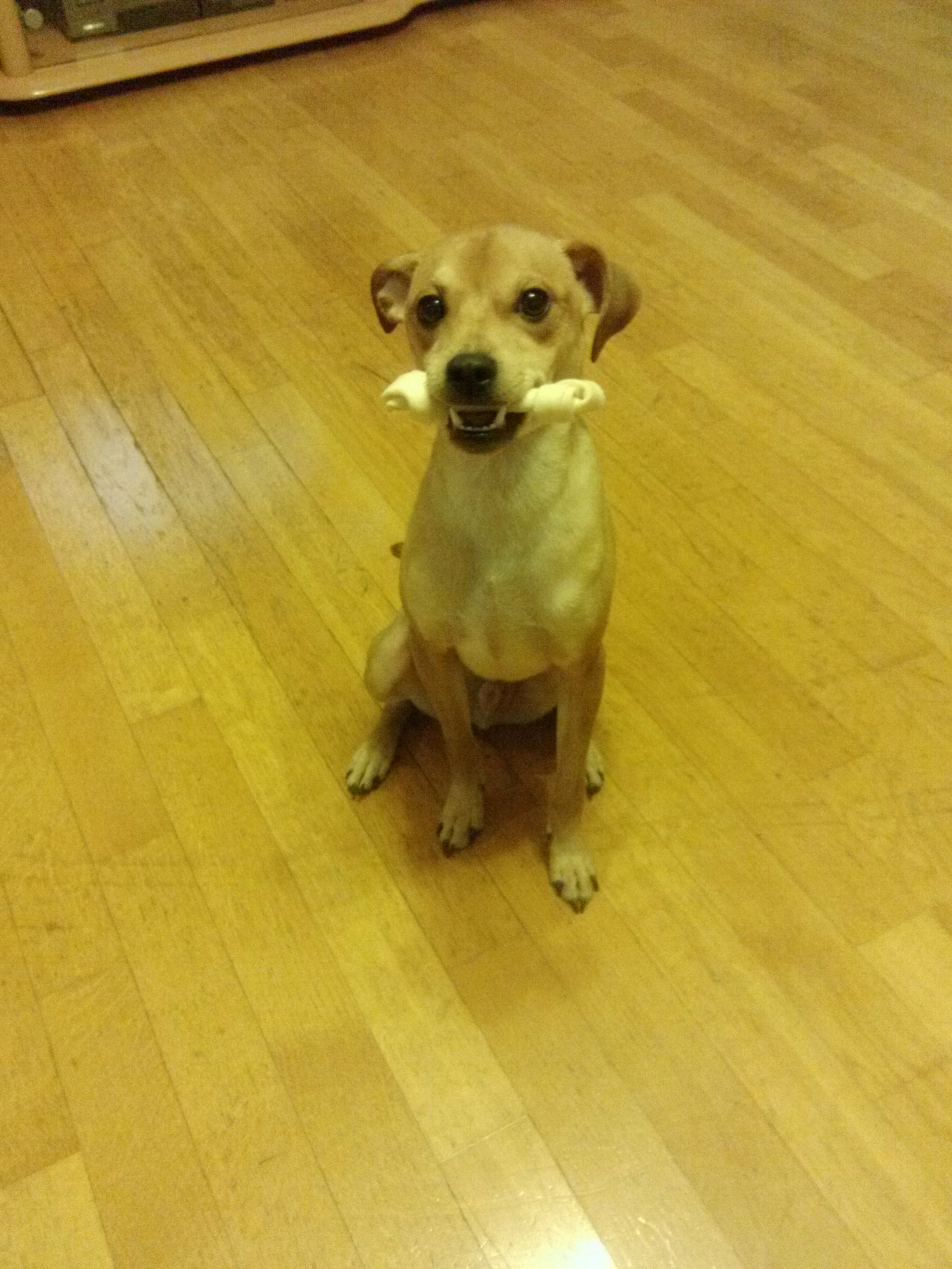 다온이소식입니다~