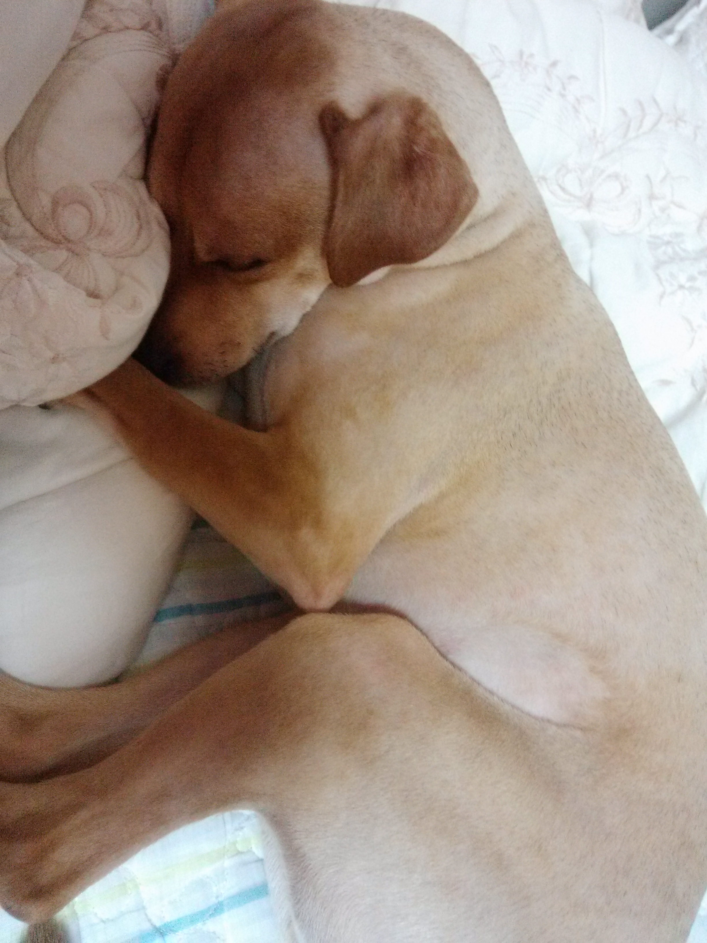 다온이소식입니다~