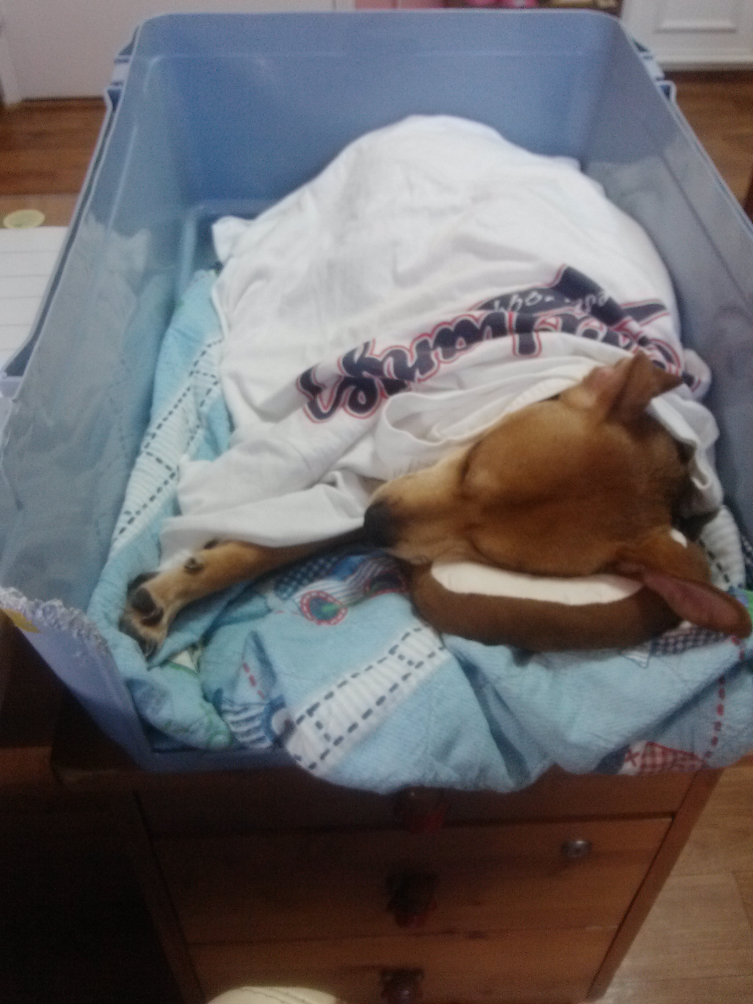 다온이소식입니다~