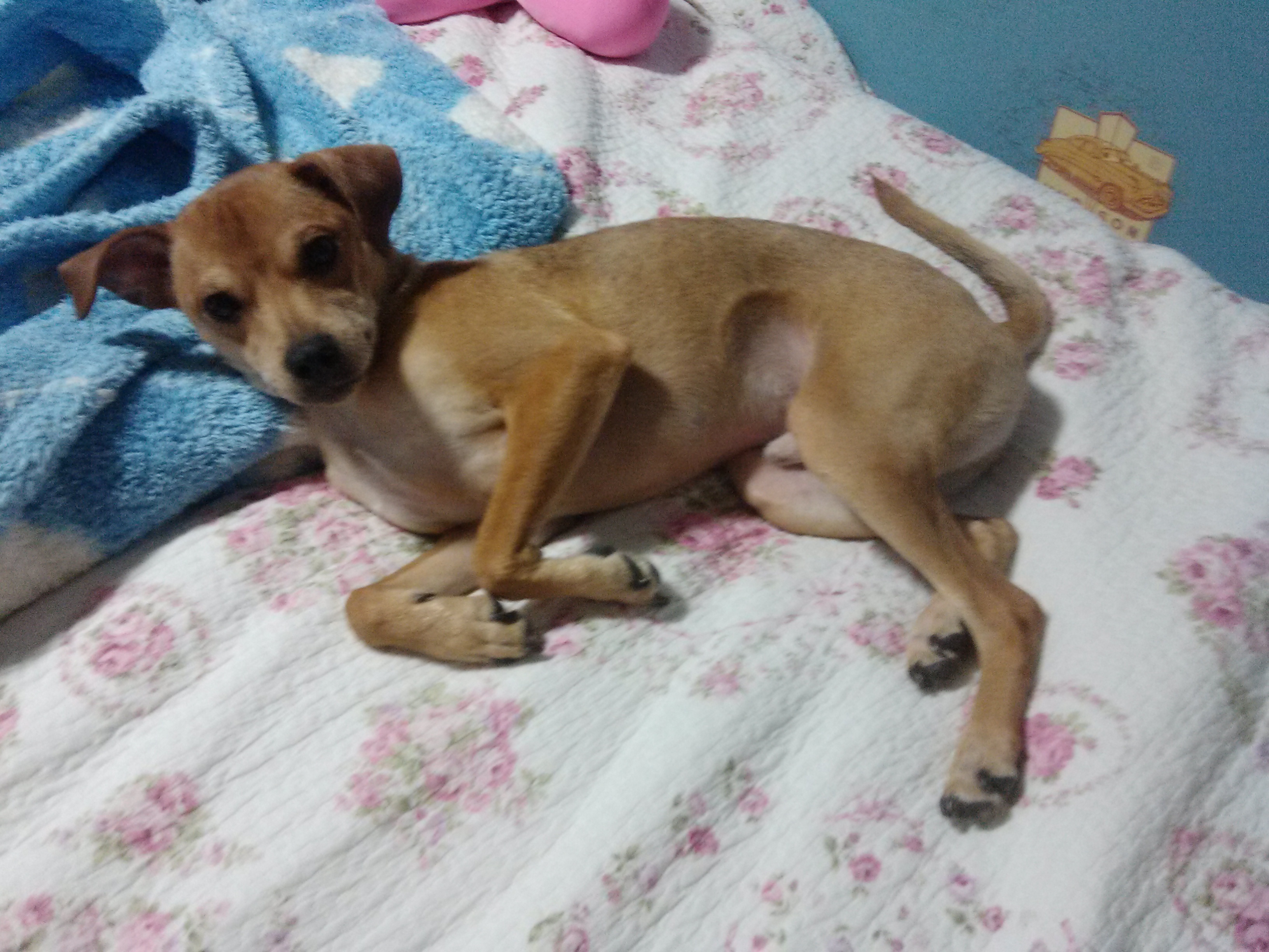 다온이소식입니다~