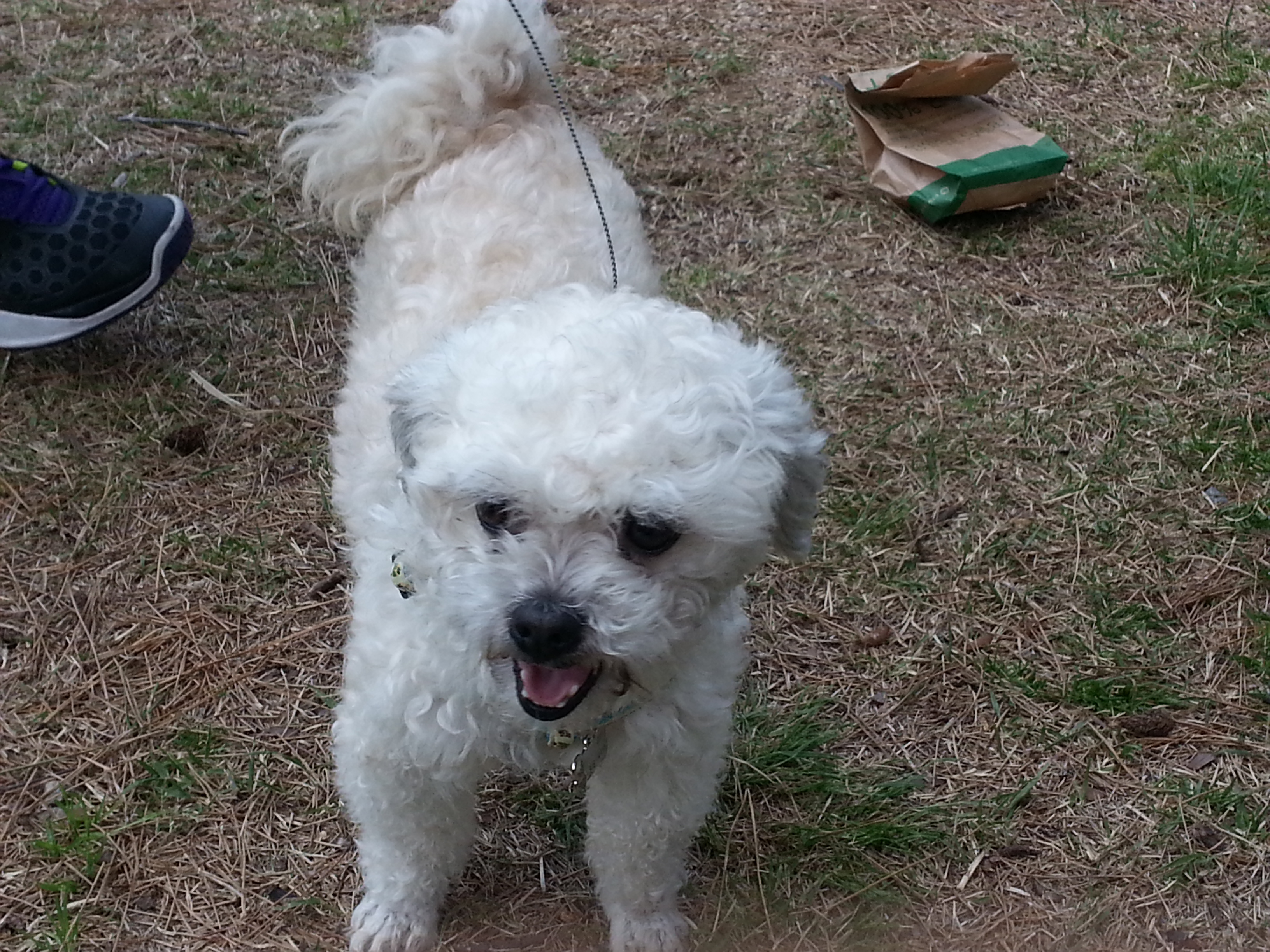 솔이 잘 지내고 있습니다