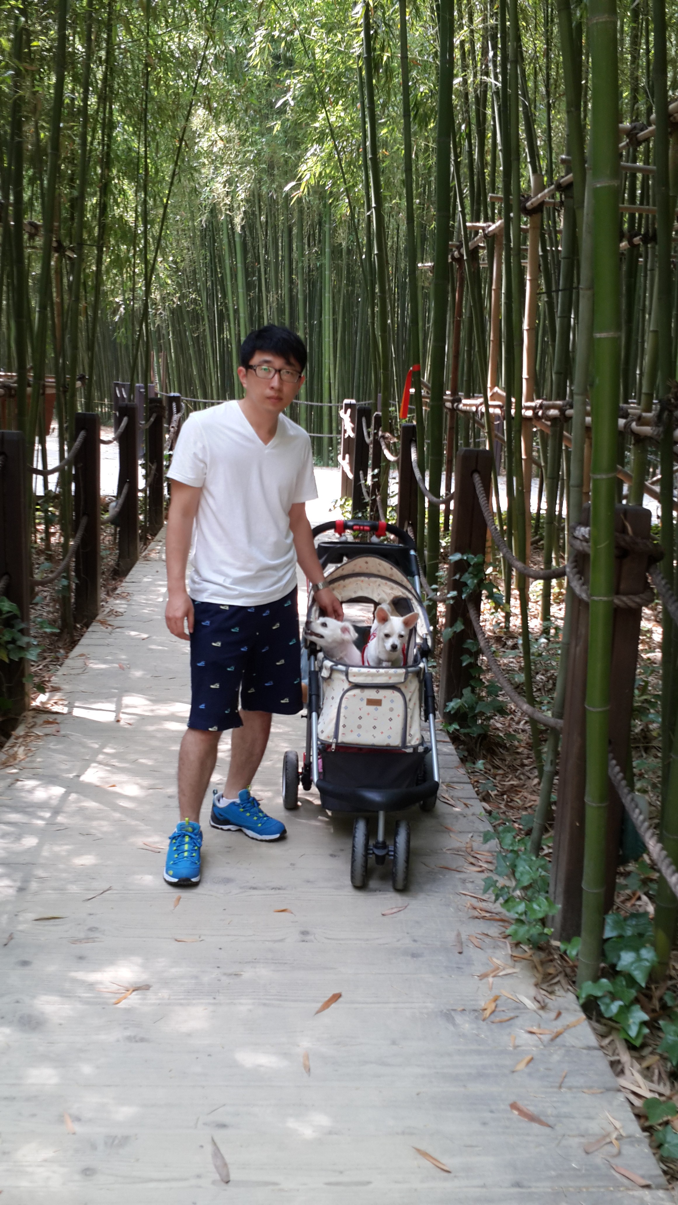 울산 태화강 공원 십리대밭길