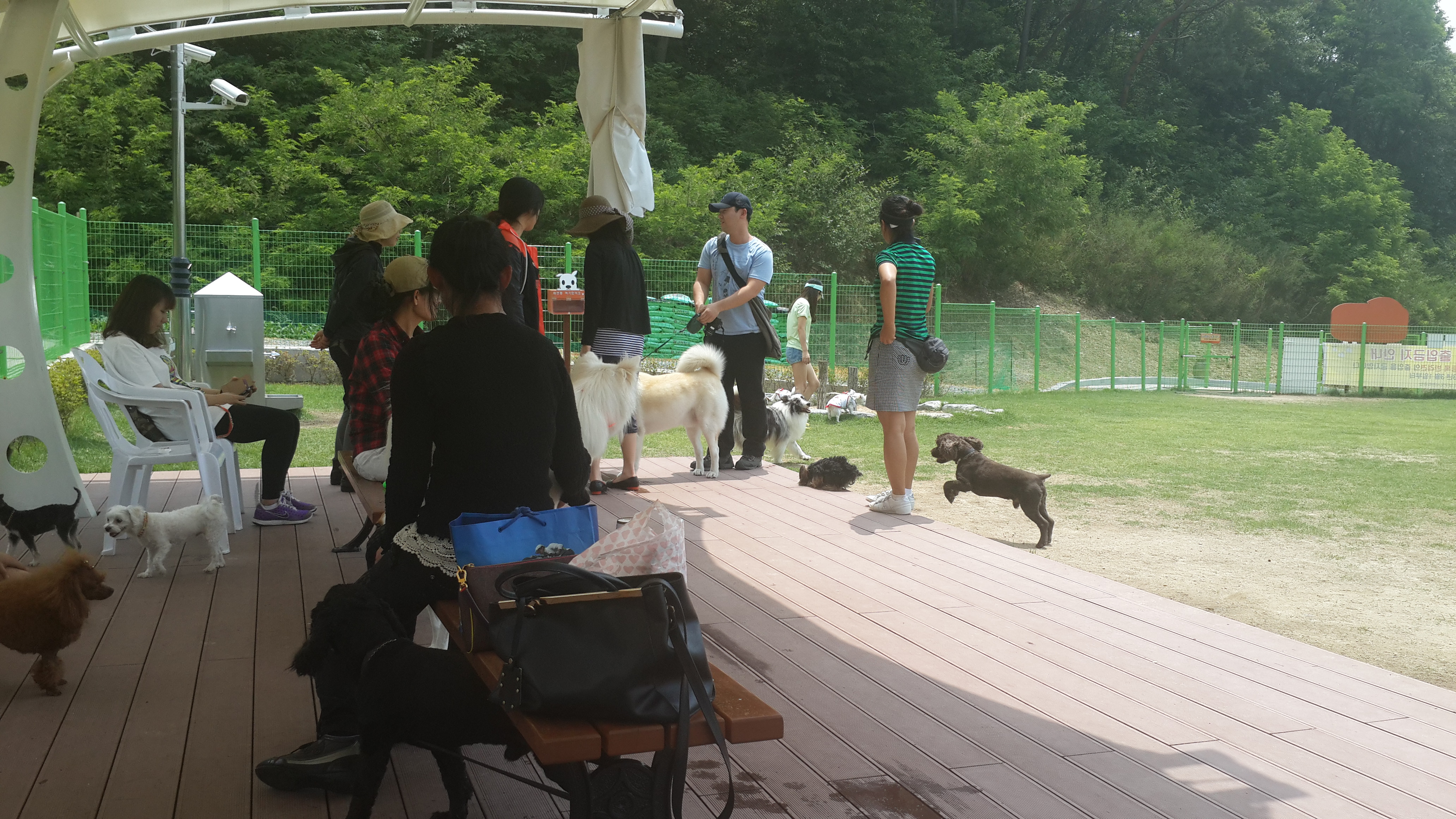 이기순님 보세요...ㅎㅎ 울산 애견 운동 공원 후기...