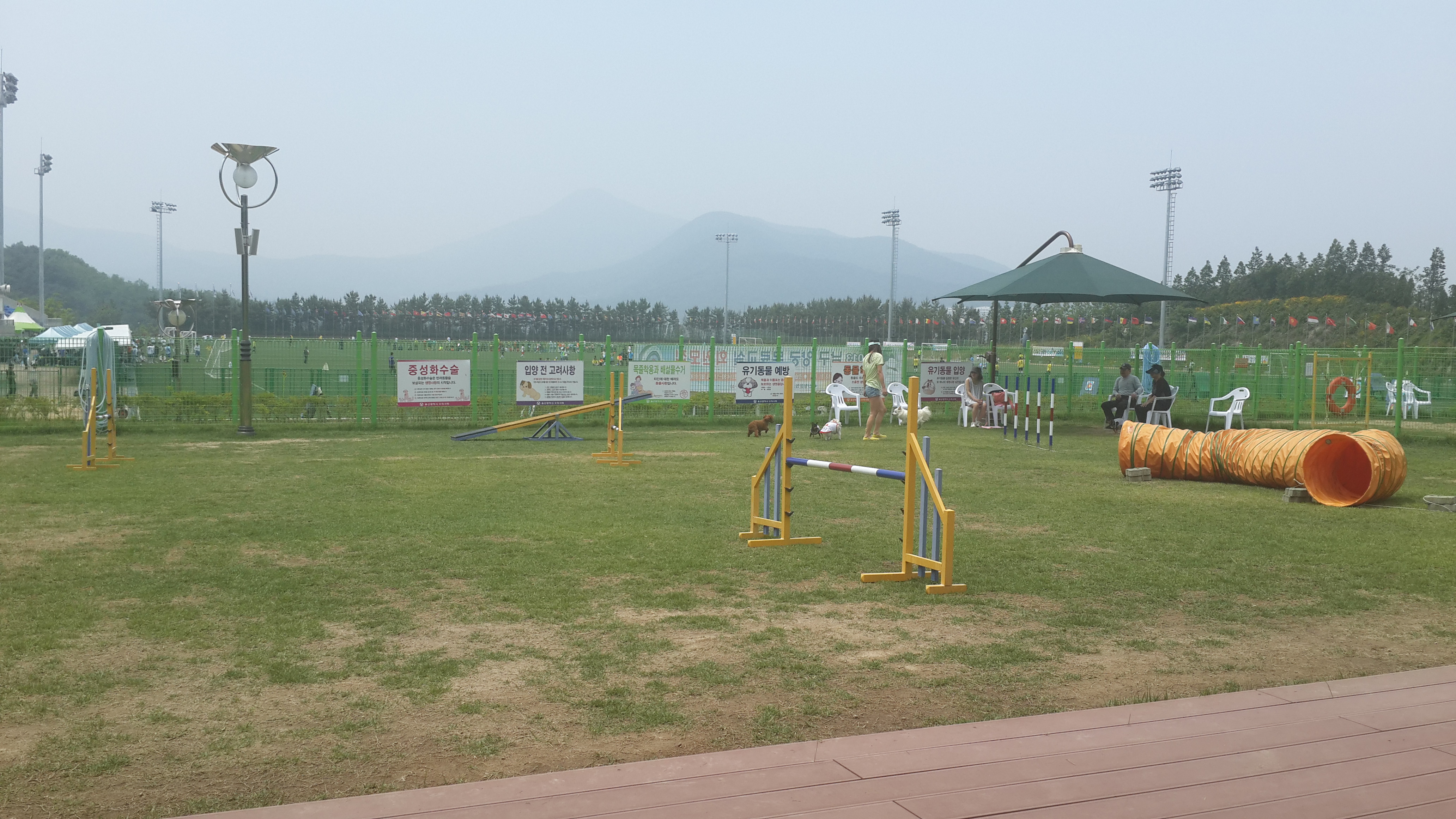 이기순님 보세요...ㅎㅎ 울산 애견 운동 공원 후기...