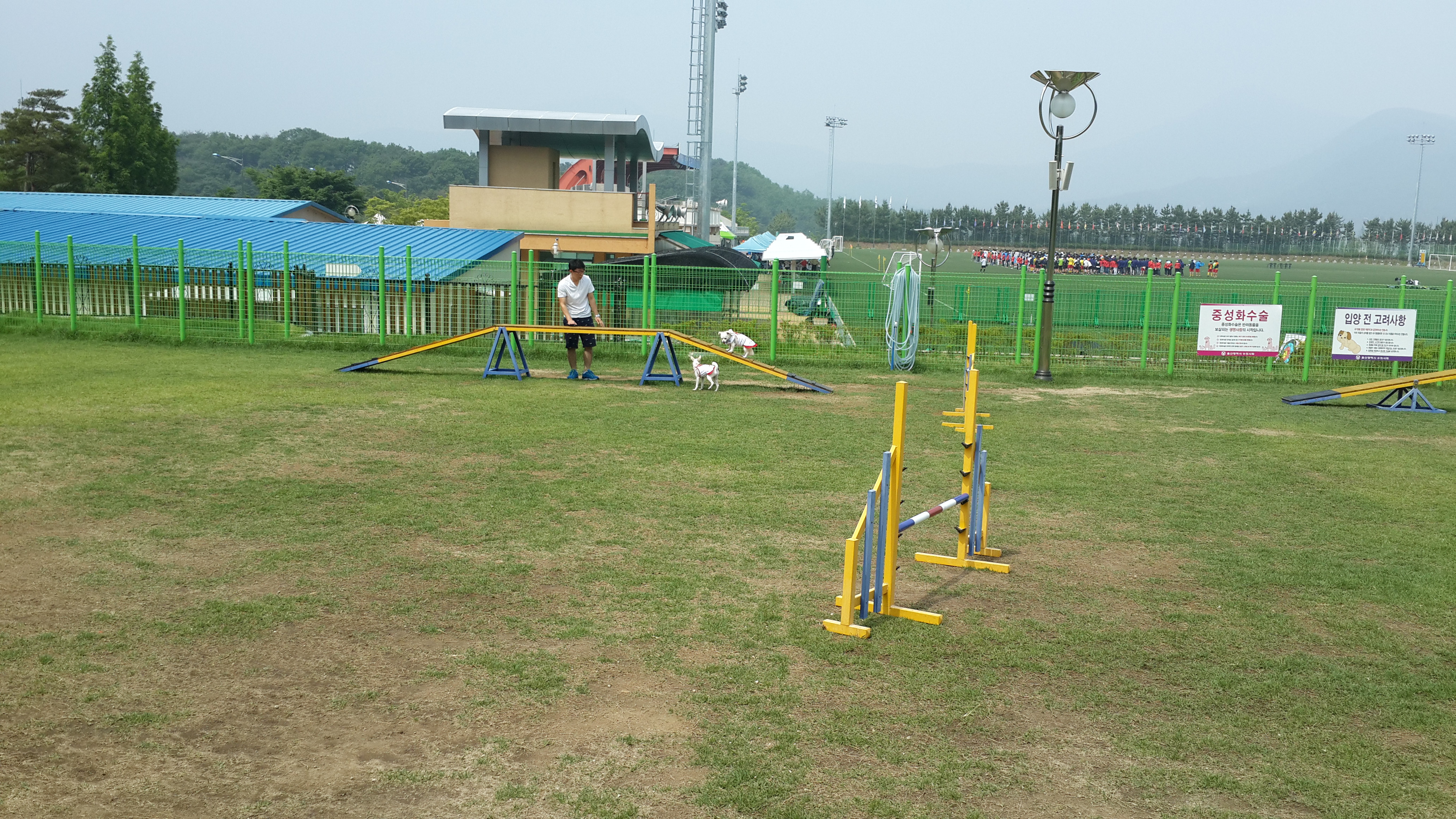 이기순님 보세요...ㅎㅎ 울산 애견 운동 공원 후기...