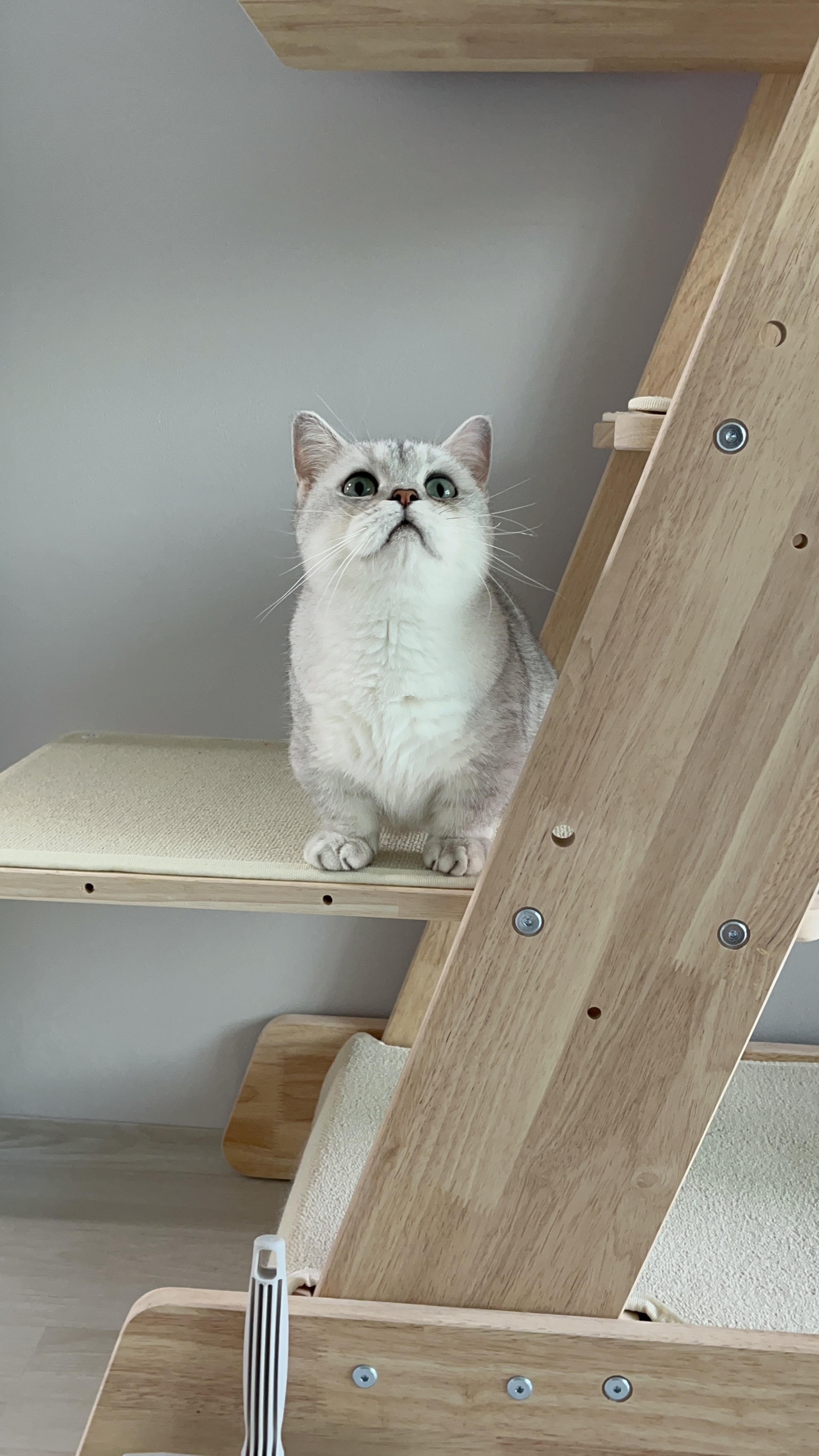 망고(달희)와 함께 벌써 3개월