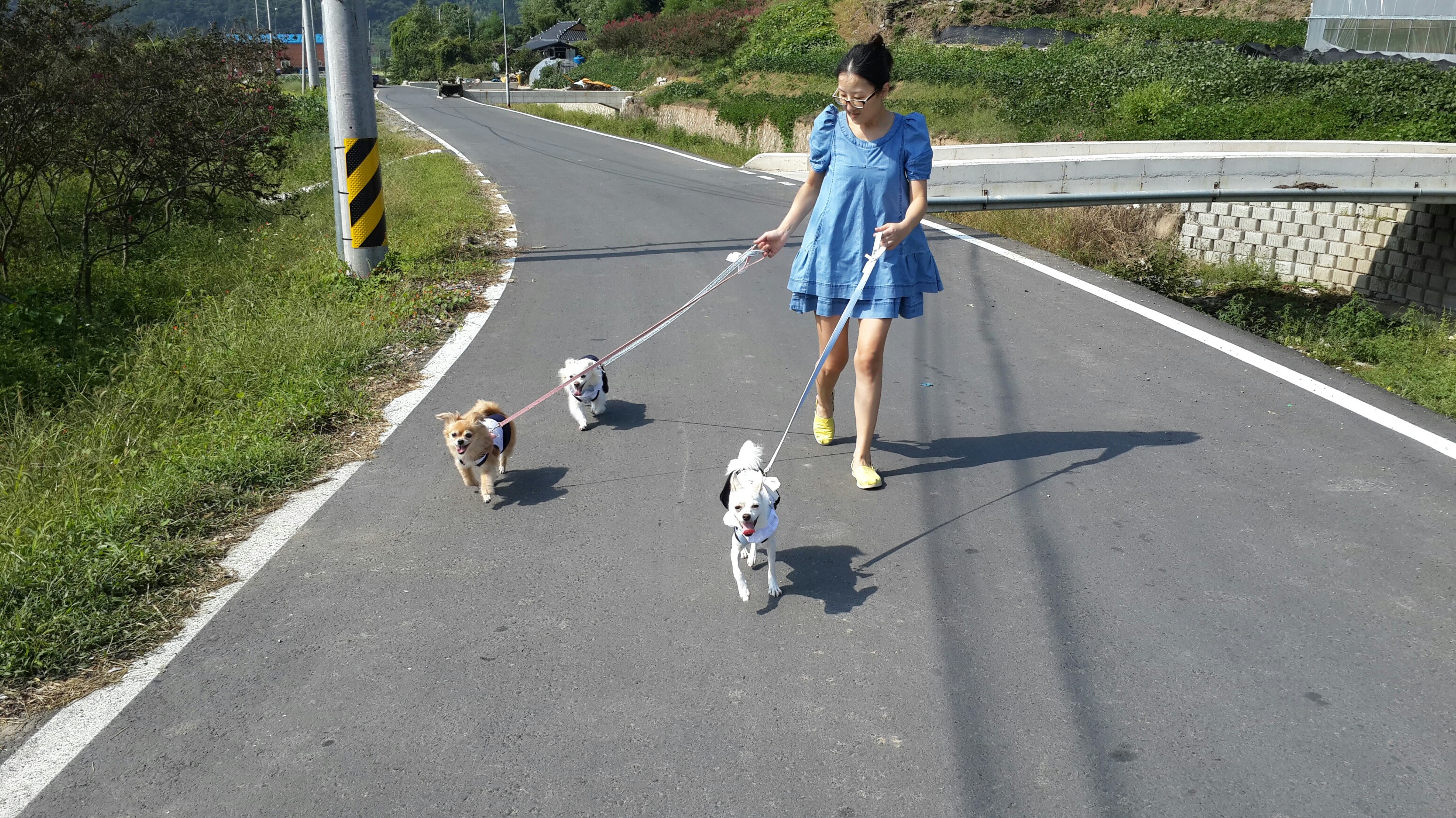울똥깡들 시골길 산책~~~