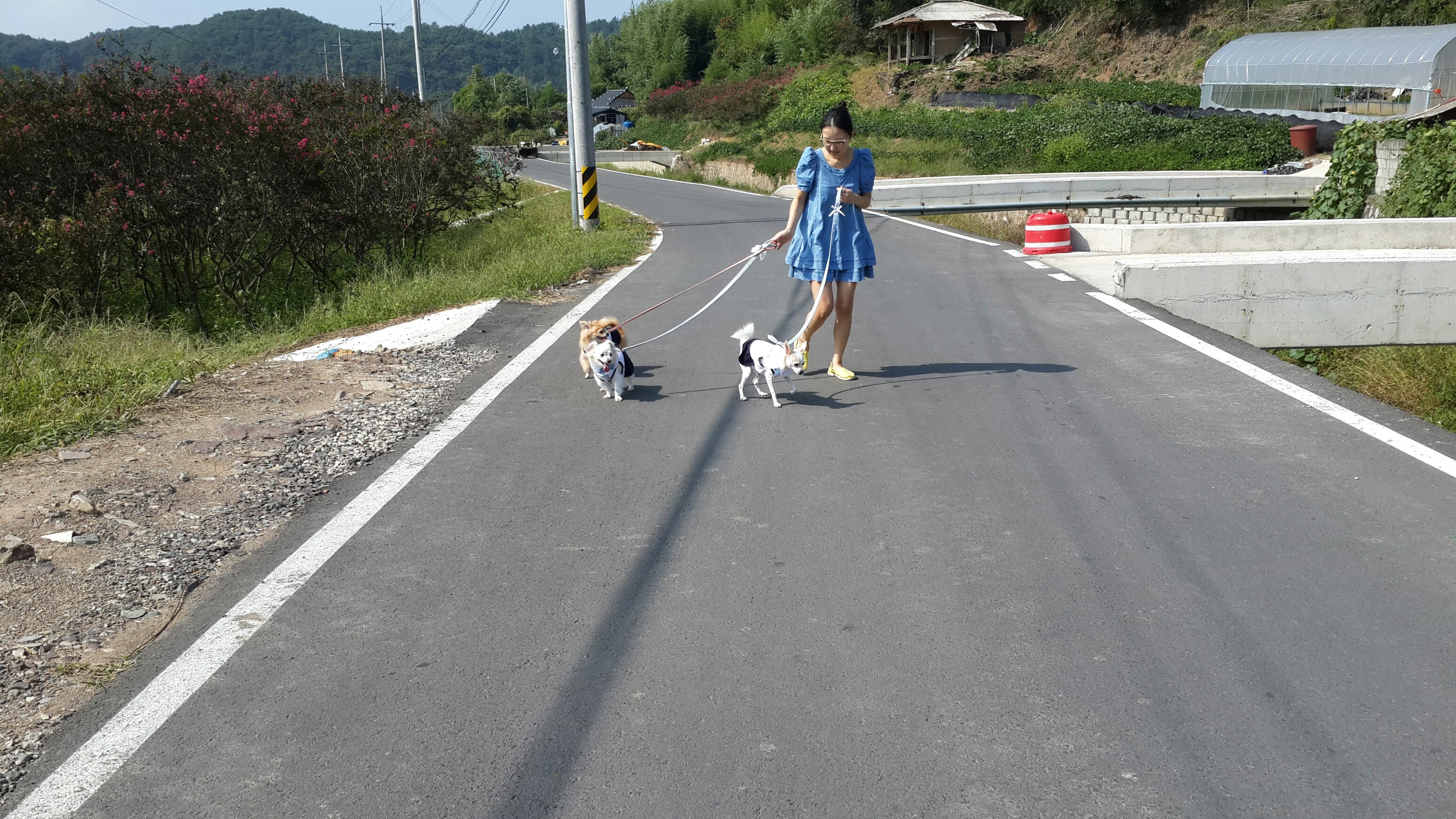 울똥깡들 시골길 산책~~~