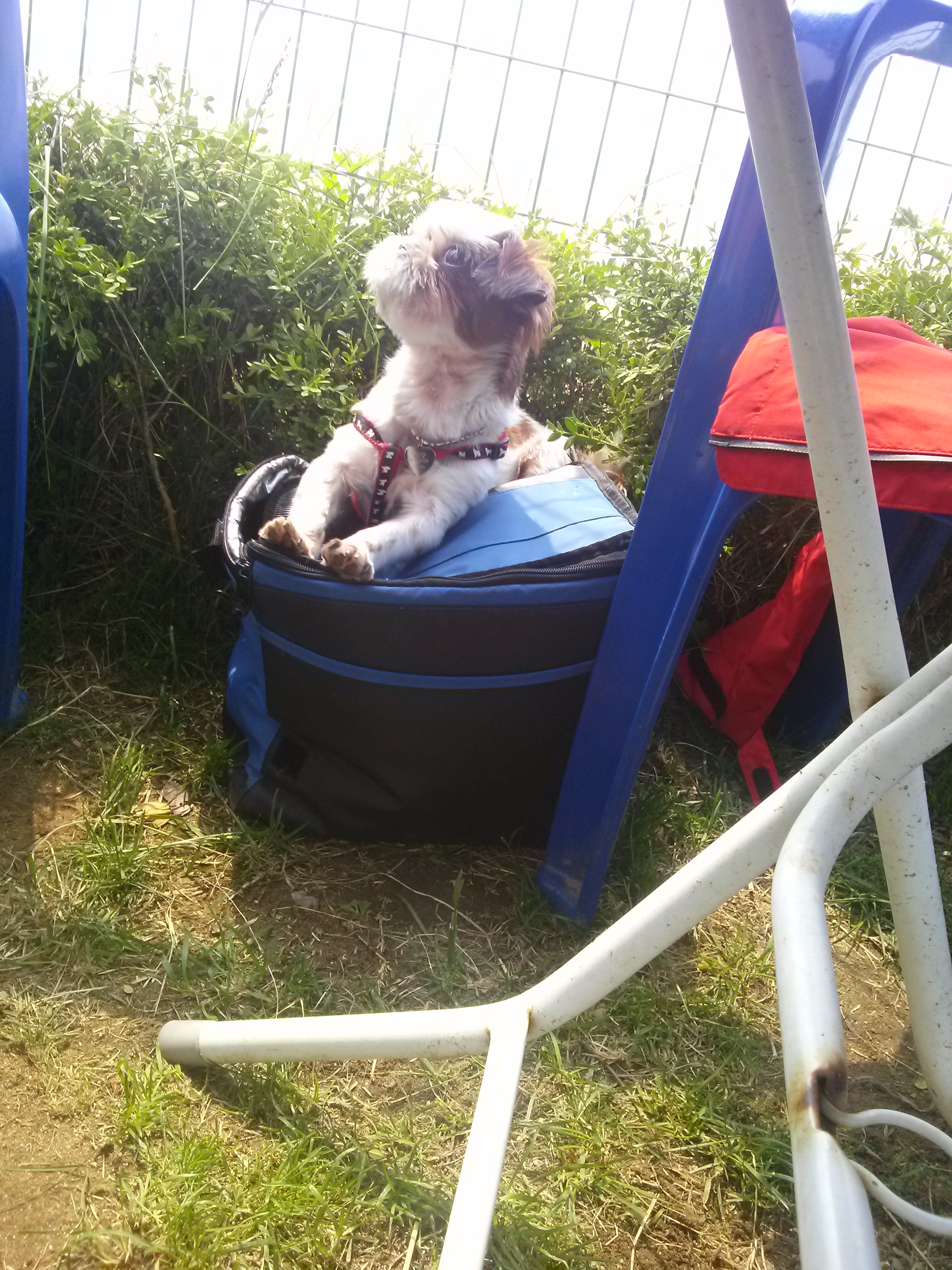 새롬(세븐)이 근황~