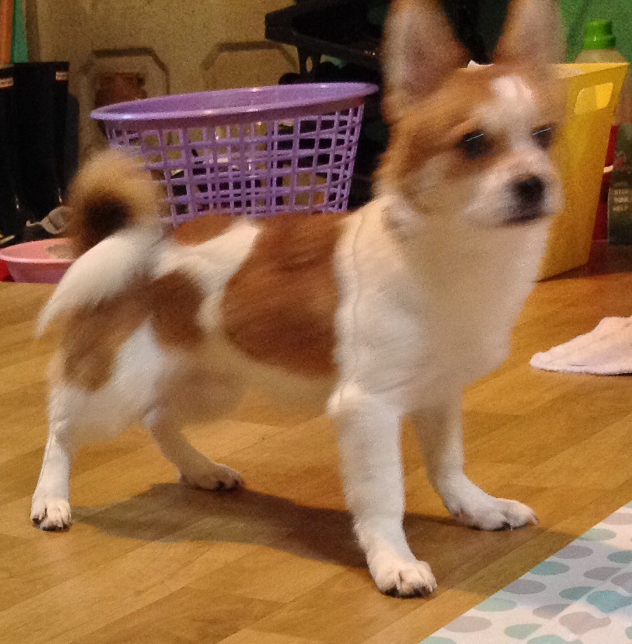 두리 인사왔어용