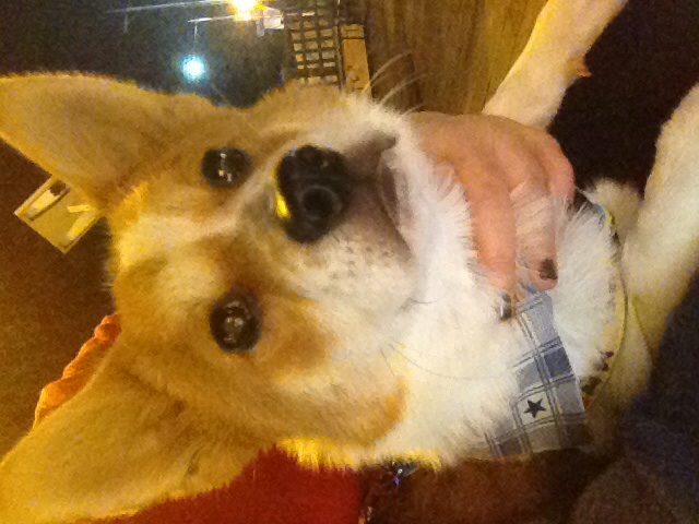 두리 인사왔어용