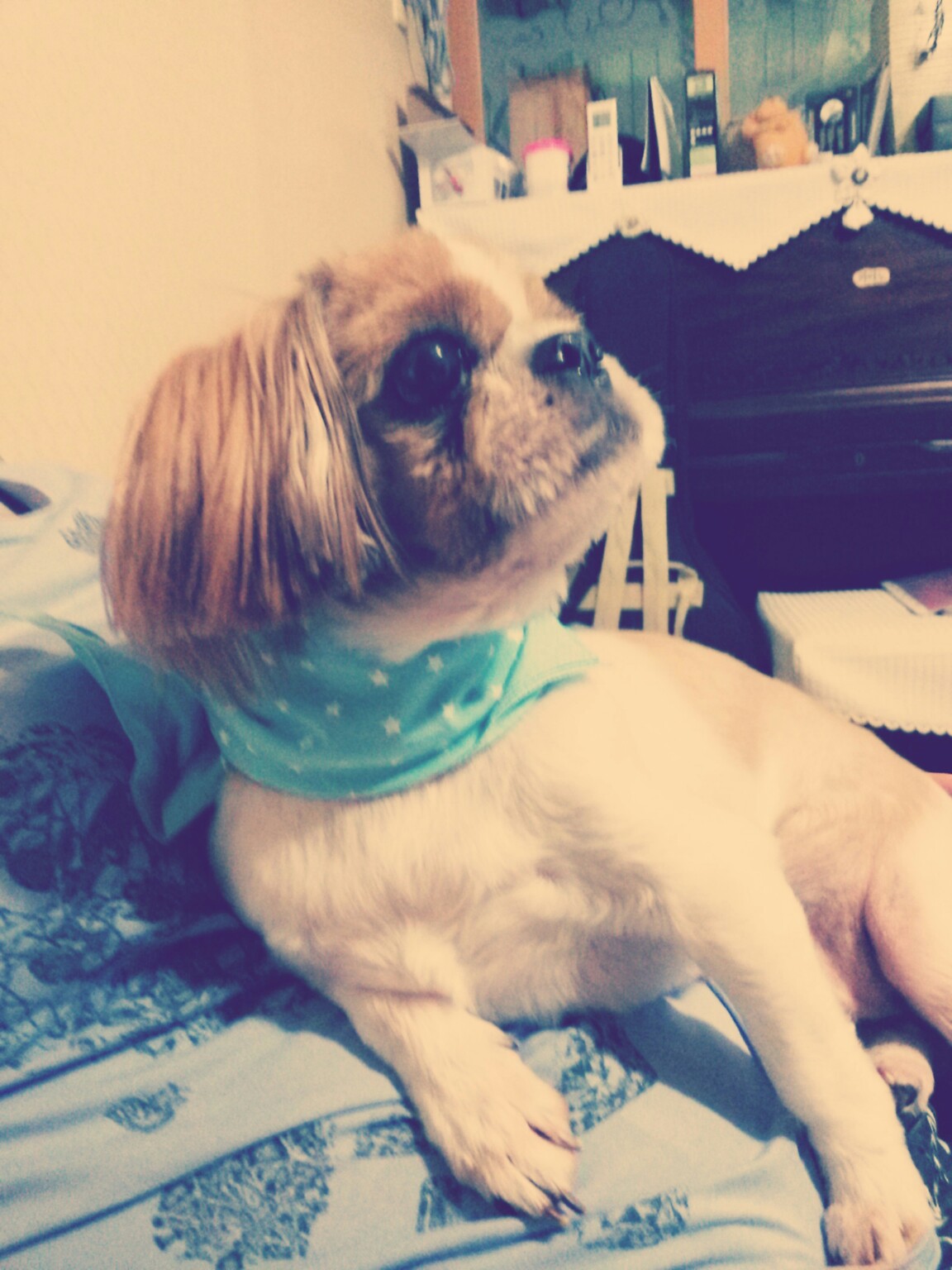 나는야 대풍수!!!